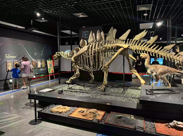 /uploads/image/2026/01/16/68d1d4ca843af48891f0a62d945887df.png image.png