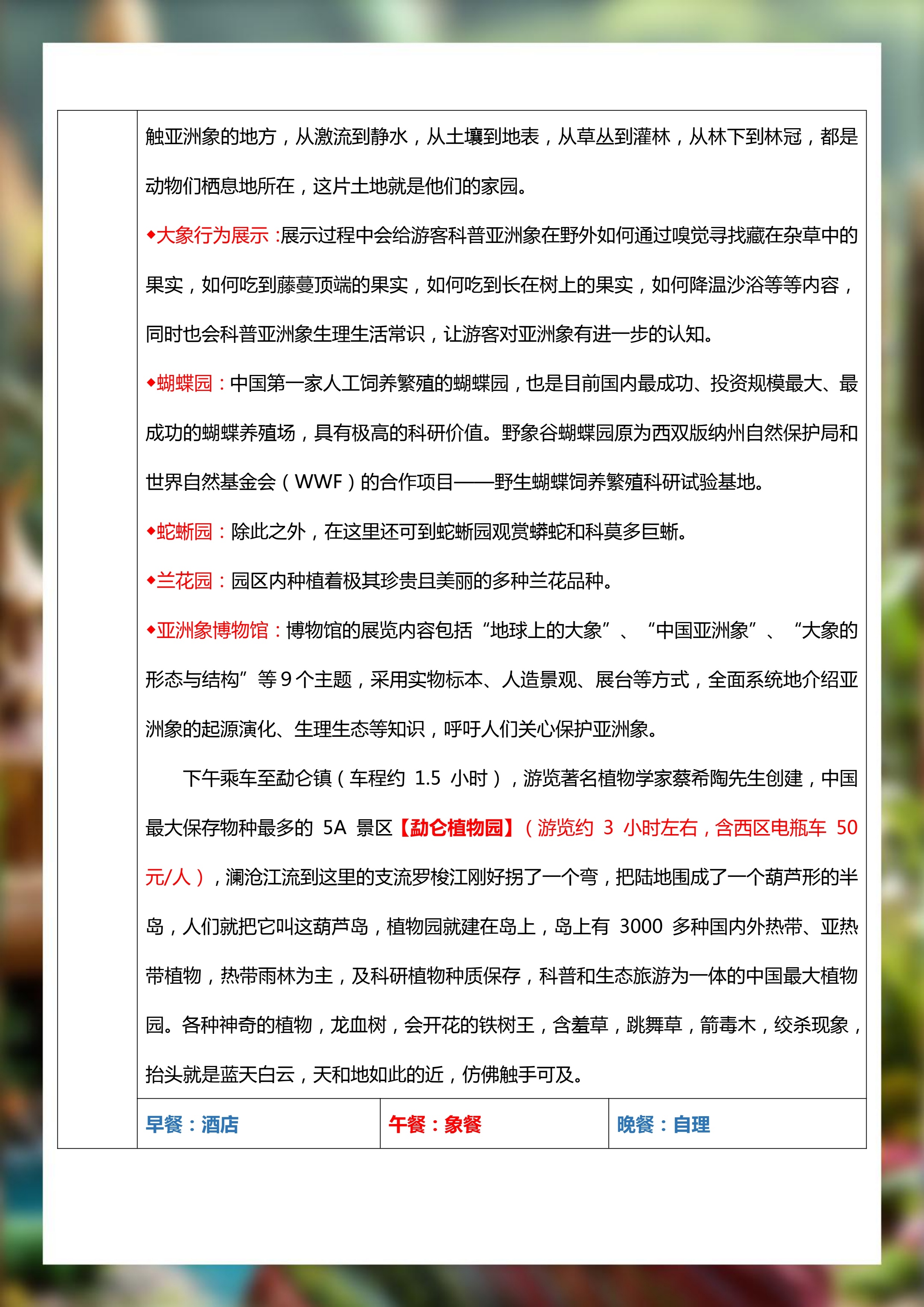 【版纳悦色】直飞五天 (2025下半年更新版)(1)_6.jpg