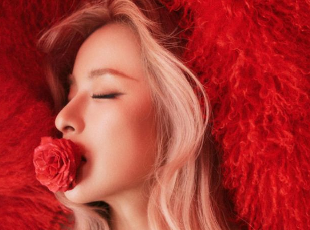 /uploads/image/2026/02/24/80fb250eec864a51171b0bee69e8fabc.png 图片.png