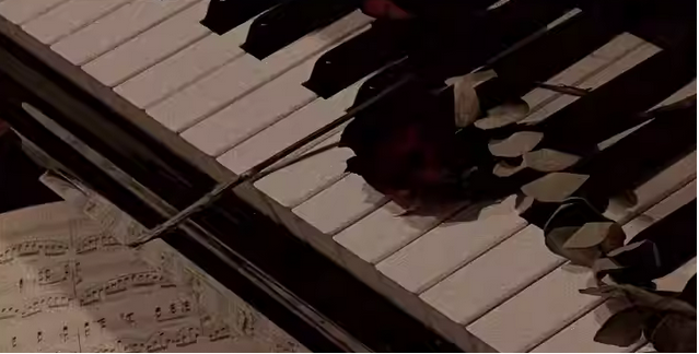 杭州卡农世界经典名曲演奏会